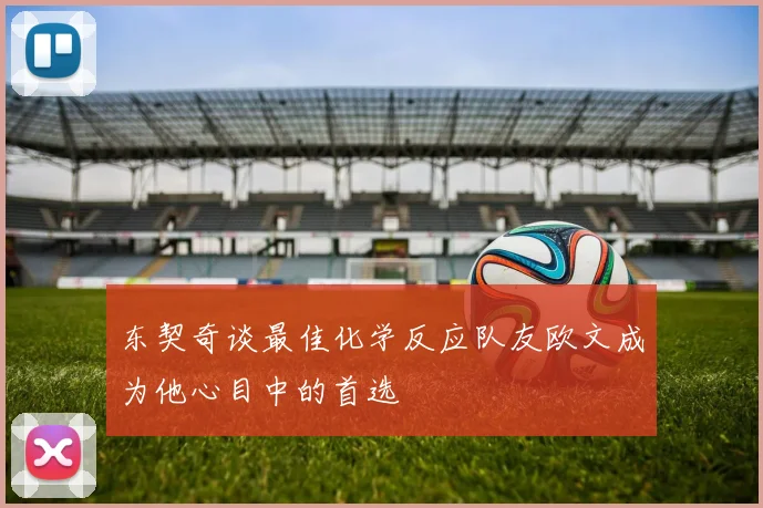 东契奇谈最佳化学反应队友欧文成为他心目中的首选
