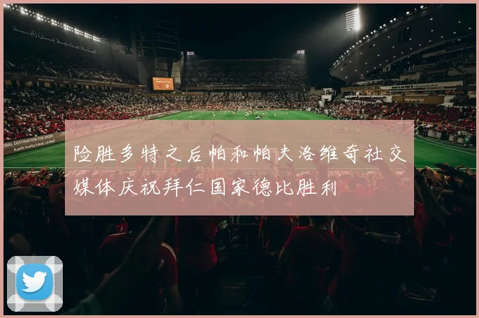 险胜多特之后帕和帕夫洛维奇社交媒体庆祝拜仁国家德比胜利