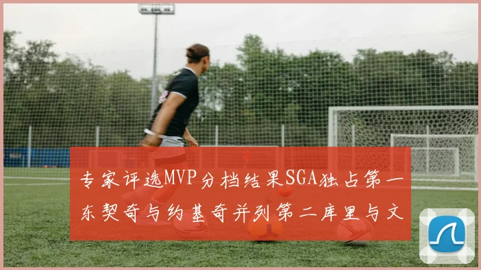 专家评选MVP分档结果SGA独占第一东契奇与约基奇并列第二库里与文班位列第四