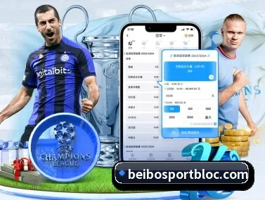 贝博足球 APP - BEIBOSPORTS