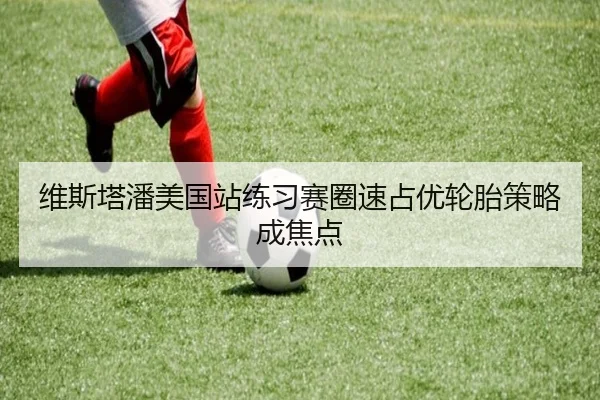 维斯塔潘美国站练习赛圈速占优轮胎策略成焦点 | BEIBOSPORTS
